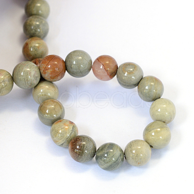 Natural Silver Leaf Jasper Round Bead Strands X-G-E334-6mm-04-1