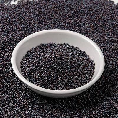 MIYUKI Round Rocailles Beads X-SEED-G009-RR2005-1