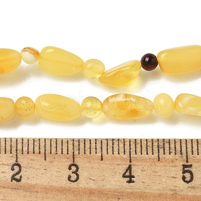 Natural Amber Beads Strands G-K387-C02-01-1