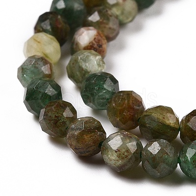Natural Fuchsite Beads Strands G-C009-A02-1