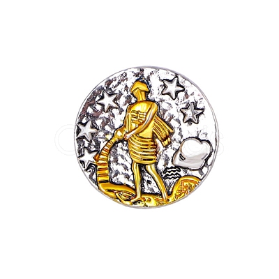 Constellation Alloy Pins PW-WG22693-11-1