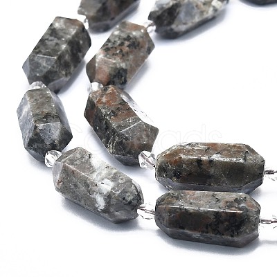 Natural Fluorescent Syenite Rock(Glow under UV Light) Beads Strands G-F715-055-1