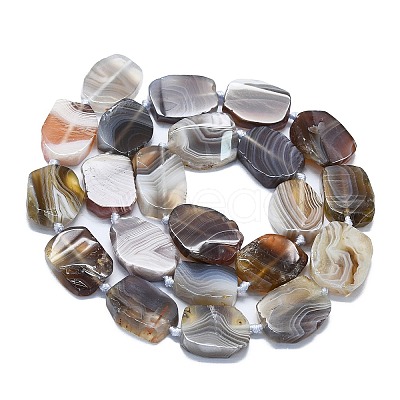 Natural Botswana Agate Beads Strands G-K245-J10-C01-1