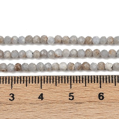 Natural Angelite Beads Strands G-RM2025-A48-B-1
