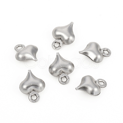 Non-Tarnish 304 Stainless Steel Charms STAS-I149-05C-P-1