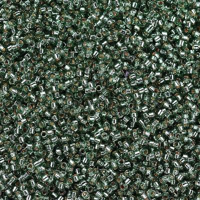 MIYUKI Delica Beads X-SEED-J020-DB2165-1