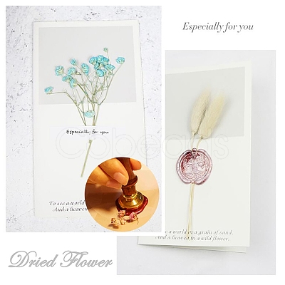 DIY Scrapbook AJEW-WH0100-266-1