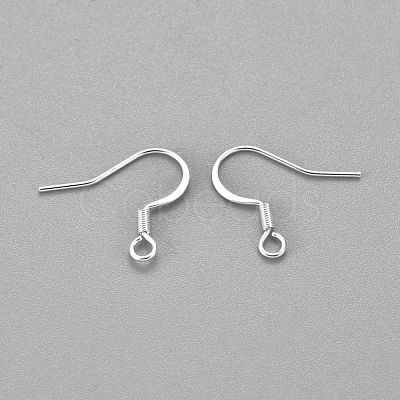 304 Stainless Steel French Earring Hooks STAS-H436-05S-1