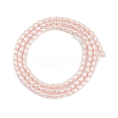 Electroplated Shell Pearl Beads Strands BSHE-H113-06A-07-1