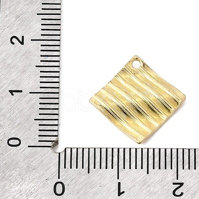 304 Stainless Steel Pendants STAS-D217-03G-1