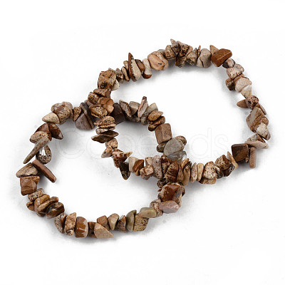 Unisex Chip Natural Picture Jasper Beaded Stretch Bracelets BJEW-S143-29-1