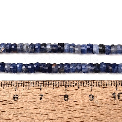 Natural Sodalite Beads Strands G-Q606-46A-03-1