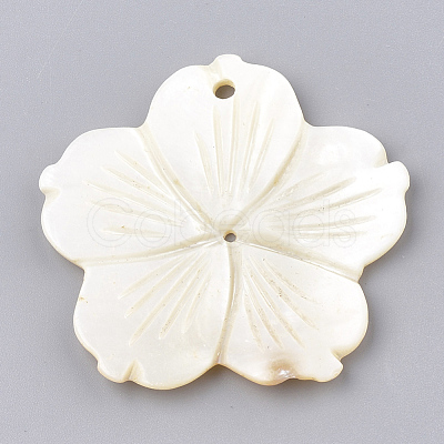 Freshwater Shell Pendants SHEL-S274-16-1