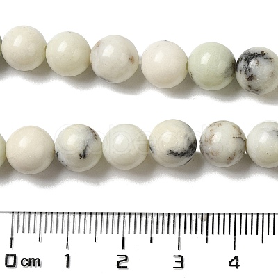 Natural Dendritic Jasper Beads Strands G-H298-A15-03-1