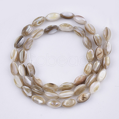 Freshwater Shell Beads Strands X-SHEL-S276-34B-1