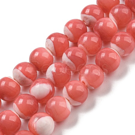 Dyed Natural Trochus Shell Beads Strands BSHE-G034-25A-1