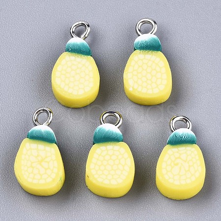 Handmade Polymer Clay Charms CLAY-T016-60-1