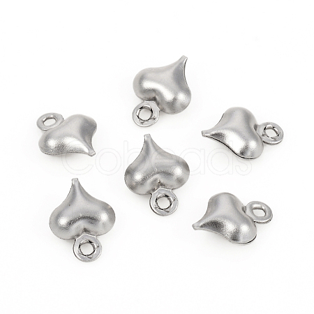 Non-Tarnish 304 Stainless Steel Charms STAS-I149-05C-P-1