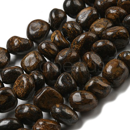 Natural Bronzite Beads Strands G-D081-A11-01-1