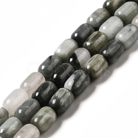 Natural Eagle Eye Stone Beads Strands G-G980-14-1