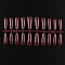 Solid Color Plastic Seamless Toe False Nail, Practice Manicure Nail Art Tool, Saddle Brown, 26~32x6~13mm, 20pcs/set.