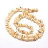 Natural Freshwater Shell Chip Bead Strands G-M205-20-2