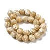 Natural Trochus Shell Beads Strands SHEL-K006-18B-2
