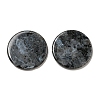 Natural Larvikite Pendants G-B071-01J-1
