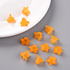 Transparent Acrylic Beads X-PLF018-08-7