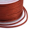 Polyester Braided Cords OCOR-I006-A01-31-3