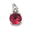 Birthdaystone Theme July 304 Stainless Steel Charms STAS-B128-60P-07-1