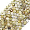 Natural Yellow Opal Beads Strands G-K389-B32-01-1