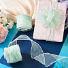 Polyester Deco Mesh Ribbons OCOR-TAC0024-004G-8