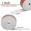 Flat Microfiber Imitation Leather Cord LC-WH0006-07B-04-2