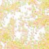 Transparent Colours Glass Seed Beads SEED-H003-01J-3