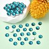 Preciosa® MAXIMA Crystal No Hotfix Flatback Stones Y-PRC-NSS8-60230-2
