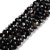 Natural Golden Sheen Obsidian Beads Strands G-C229-01A-1