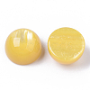 Resin Beads RESI-N022-02D-2