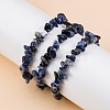 Unisex Chip Natural Sodalite Beaded Stretch Bracelets BJEW-S143-21-4