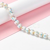 Handmade Lampwork Beads Strands LAMP-D015-11C-6