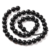 Natural Shungite Beads Strands G-D481-15B-3