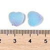 Imitation Candy Food Style Resin Cabochons RESI-R461-01A-3