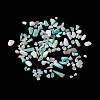 Natural Amazonite Chip Beads G-M364-04A-1