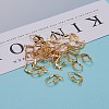 Brass Leverback Earring Findings X-KK-F824-006G-4