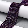Electroplate Glass Beads Strands GLAA-H021-01A-FP09-3
