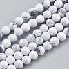 Natural Howlite Beads Strands TURQ-G091-10mm-1