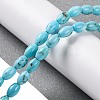 Natural Howlite Beads Strands G-H025-02B-2