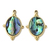 Oval 304 Stainless Steel Natural Paua Shell/White Shell Pendants Ion Plating(IP) STAS-U037-08G-02-1