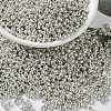 MIYUKI Round Rocailles Beads X-SEED-G008-RR0181-1