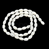 Natural Trochus Shell Beads Strands X-BSHE-E030-02C-3